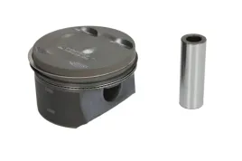 tlok-87-429507-30-nur