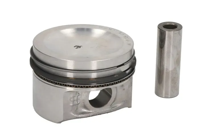 tlok-99455600-kbs
