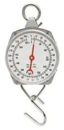 uchylna-waga-wskazowkowa-250kg-vv1033
