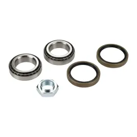 zestaw-lozyska-kola-fiat-ducato-typ-230-do-11-01