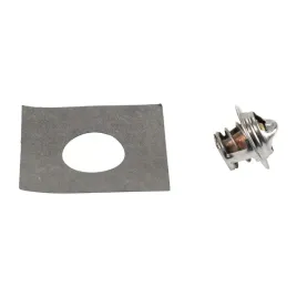 termostat-valeo-peugeot-j5-25-d-td