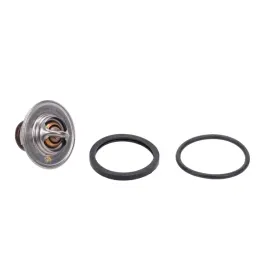 termostat-fiat-ducato-typ-280-290-230-244-25-28d