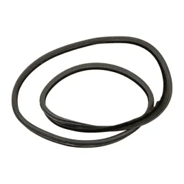 uszczelka-drzwi-lewy-tyl-fiat-stilo-46763120-oe