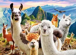 puzzle-200-ukladanka-zwierzeta-gory-lamy-selfie-machu-picchu-peru-7-castor