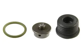 zestaw-naprawczy-systemu-common-rail-f00n202418-bos