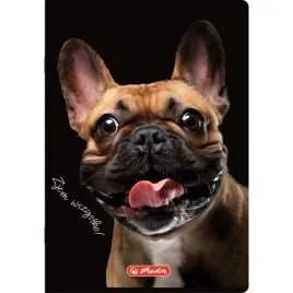 zeszyt-herlitz-crazy-animal-a5-80k-kratka-z-marginesem