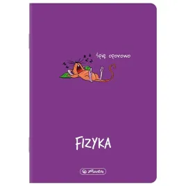 zeszyt-tematyczny-60-kartek-kratka-fizyka-eco-pp-herlitz-9500080