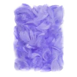 piorka-5-12-cm-10-g-lilac-dalprint