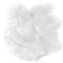 piora-indycze-15-cm-5-szt-biale-dalprint