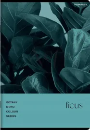 zeszyt-top-2000-botany-a5-60k-kratka-z-marginesem
