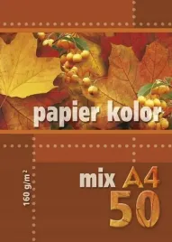 papier-ksero-kolor-a4-50-arkuszy-160-g-mix-5-kolorow-kreska