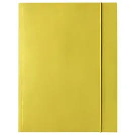 teczka-kartonowa-z-gumka-bantex-a4-zolta