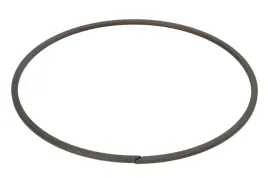 pierscien-zabezpieczajacy-0730513906zf
