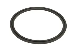 oring-0734307170zf