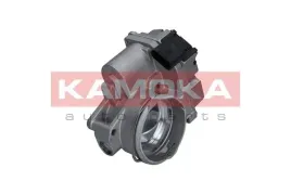 przepustnica-diesel-112011-kao