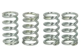zestaw-sprezyn-sprzegla-mef104-4-trw