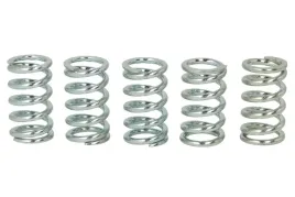 zestaw-sprezyn-sprzegla-mef123-5-trw
