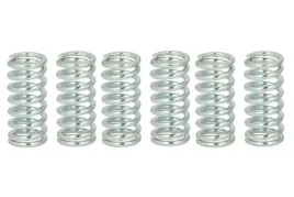 zestaw-sprezyn-sprzegla-mef102-6-trw
