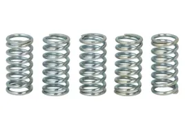 zestaw-sprezyn-sprzegla-mef159-5-trw