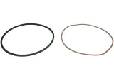 oring-4143298456zf