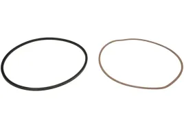 oring-4143298456zf