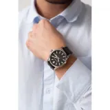 pl8071a31a1-marka-paul-lorens-kod-producenta-pl8071a31a1