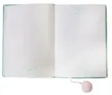 pamietnik-notes-pluszowy-a5-96k-pusheen-st-majewski-stan-nowy