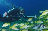 underwater-scooter-waydoo-stan-nowy