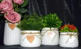 wazon-ceramiczny-bialy-h20cm-wysokosc-produktu-20-cm