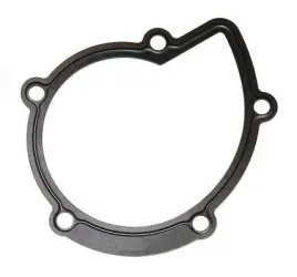 uszczelka-pompy-plynu-chlodzacego-citroen-c4-20hdi-04-el394280-394-280