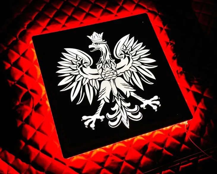TABLICA LED POLSKA ORZEŁ 24v TIR podświetlana JAKOŚĆ AFLED truck accesories