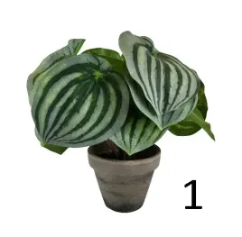 sztuczna-roslina-w-doniczce-mix-5-wzorow