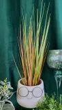 trawa-w-doniczce-50cm-stan-nowy