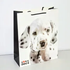 torebka-upominkowa-4-wzory-rozm-l-30x42x12cm