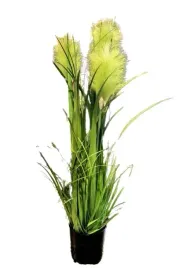 trawa-w-doniczce-81cm