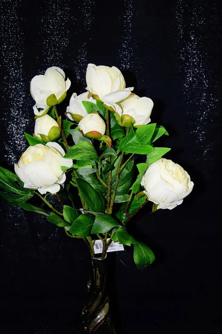 galazka-peonia-h-75-cm-stan-nowy