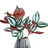 liscie-bukiet-31cm
