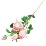 galazka-rozy-70-cm