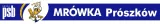 th-ms-2112-pila-ukosna-stan-nowy