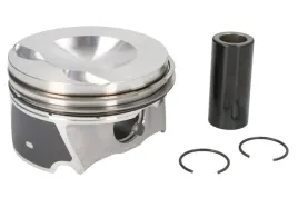 tlok-130050059521
