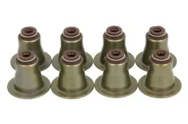 zestaw-uszczelniaczy-trzonka-zaworow-aju57066400