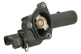 termostat-srodka-chlodzacego-d21001tt-d21001tt