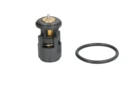 termostat-srodka-chlodzacego-d2a005tt-d2a005tt