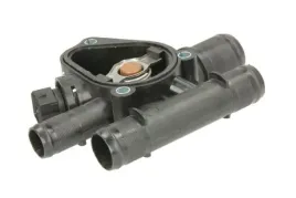 termostat-srodka-chlodzacego-d21002tt-d21002tt