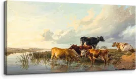 mhartk66-obraz-na-plotnie-krowy-nad-rzeka-50100-cm-duzy-pija-wode
