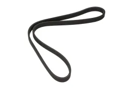 dayco-pasek-wielorowkowy-6dpk1195