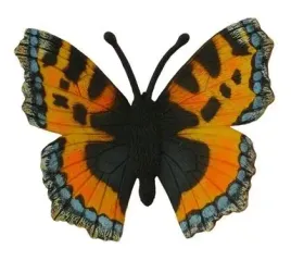 motyl-rusalka-pokrzywnik-collecta