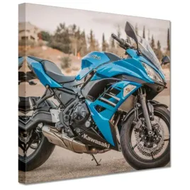 obrazy-20x20-motocykl-kawasaki-ninja