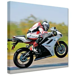 obrazy-20x20-scigacz-motocykl-motor