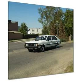 obrazy-90x90-polonez-borewicz-fso